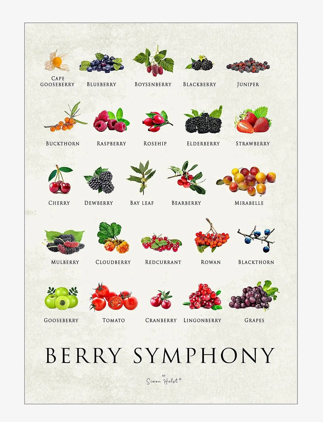 Poster & Frame - Simon Holst - Berry Symphony - food - multi - 1
