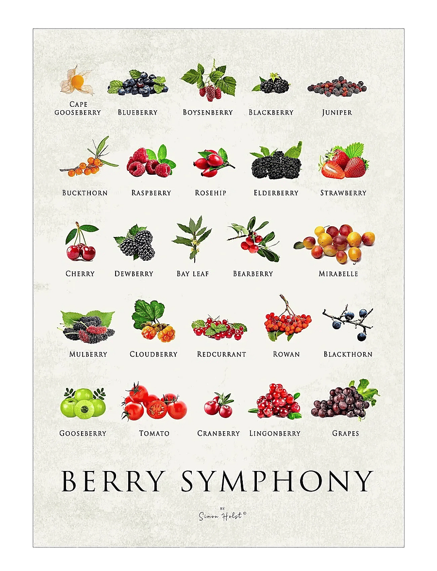 Poster & Frame - Simon Holst - Berry Symphony - essen - multi - 1