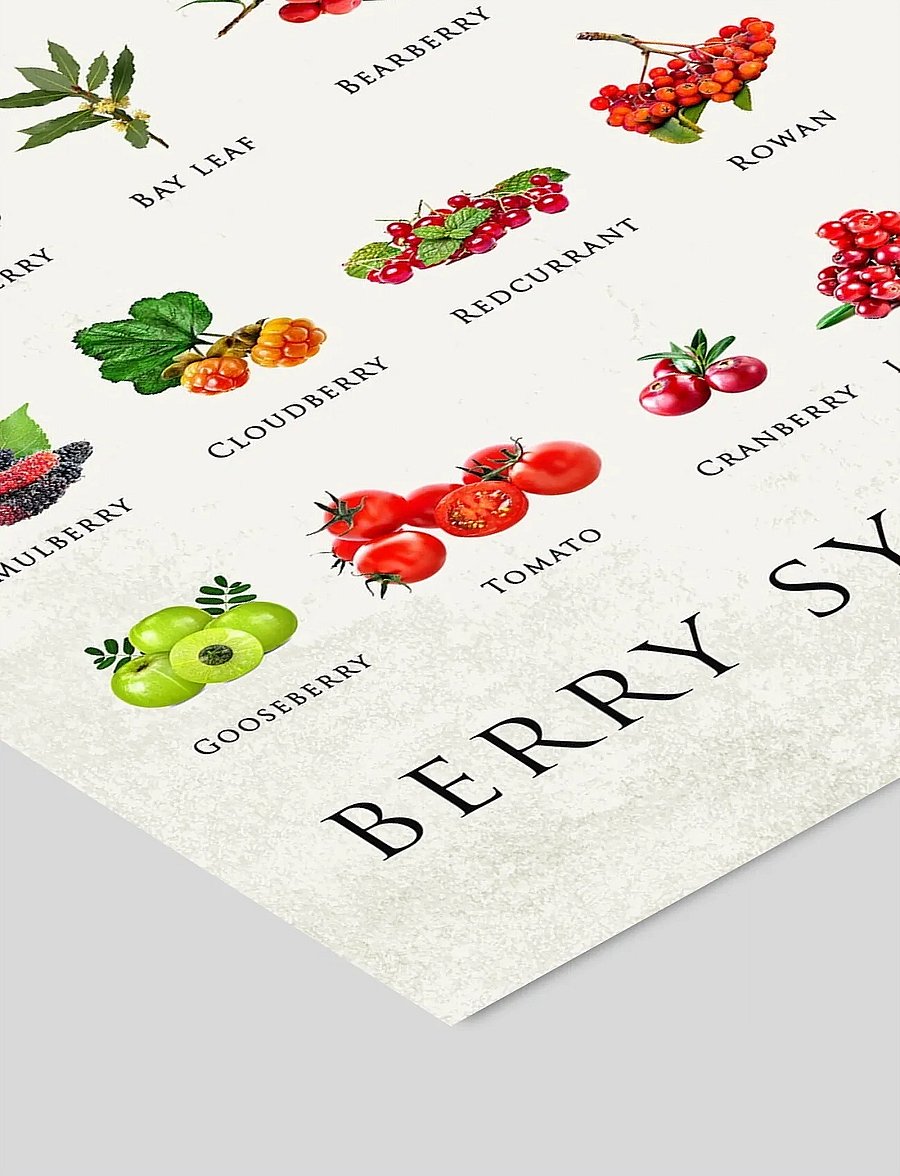 Poster & Frame - Simon Holst - Berry Symphony - essen - multi - 2