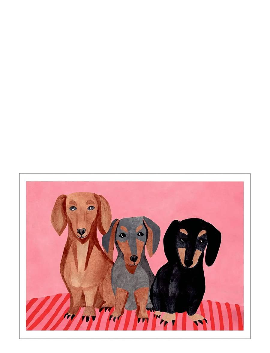 Poster & Frame - Iga Kosicka - Dachshunds - illustrationen - pink - 1