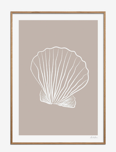 Emilie Luna - Seashell 01, Poster & Frame