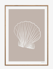 Poster & Frame - Emilie Luna - Seashell 01 - natur - multi - 0
