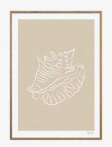 Emilie Luna - Seashell 02, Poster & Frame