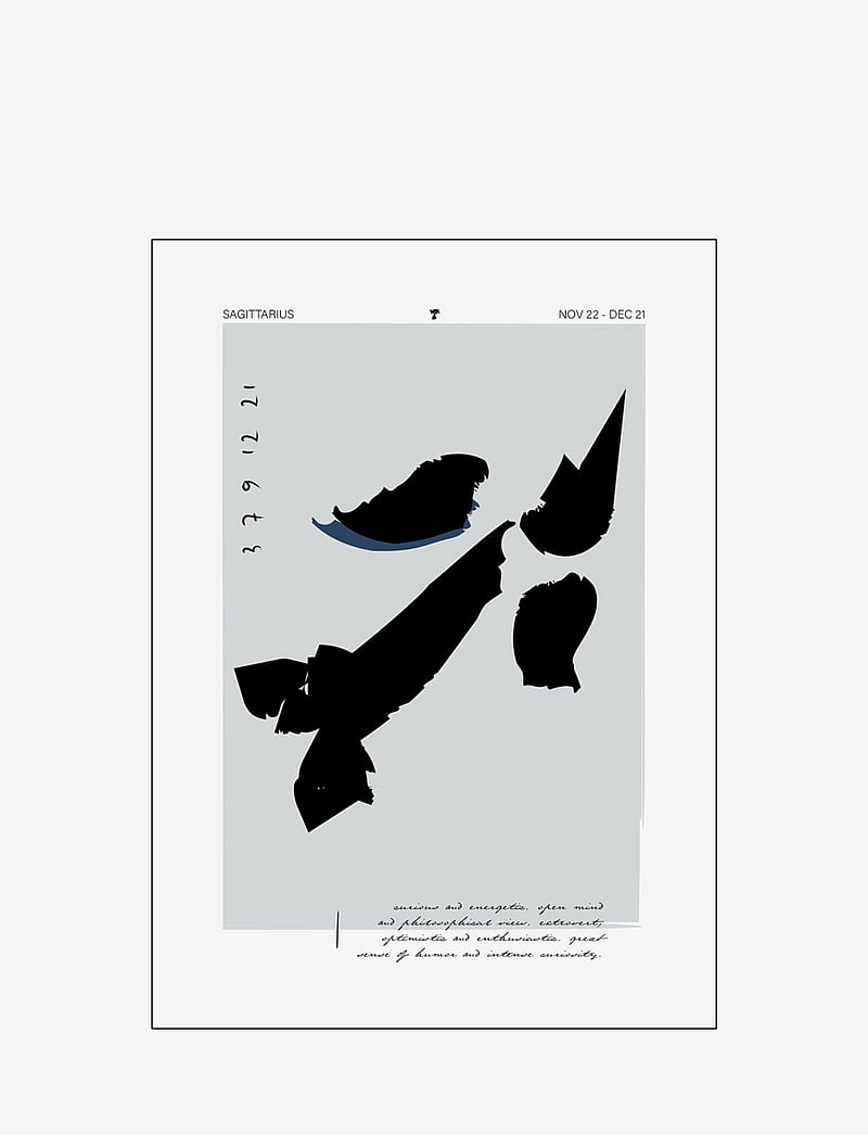 Poster & Frame - Sagittarius - graphical patterns - multi-colored - 1