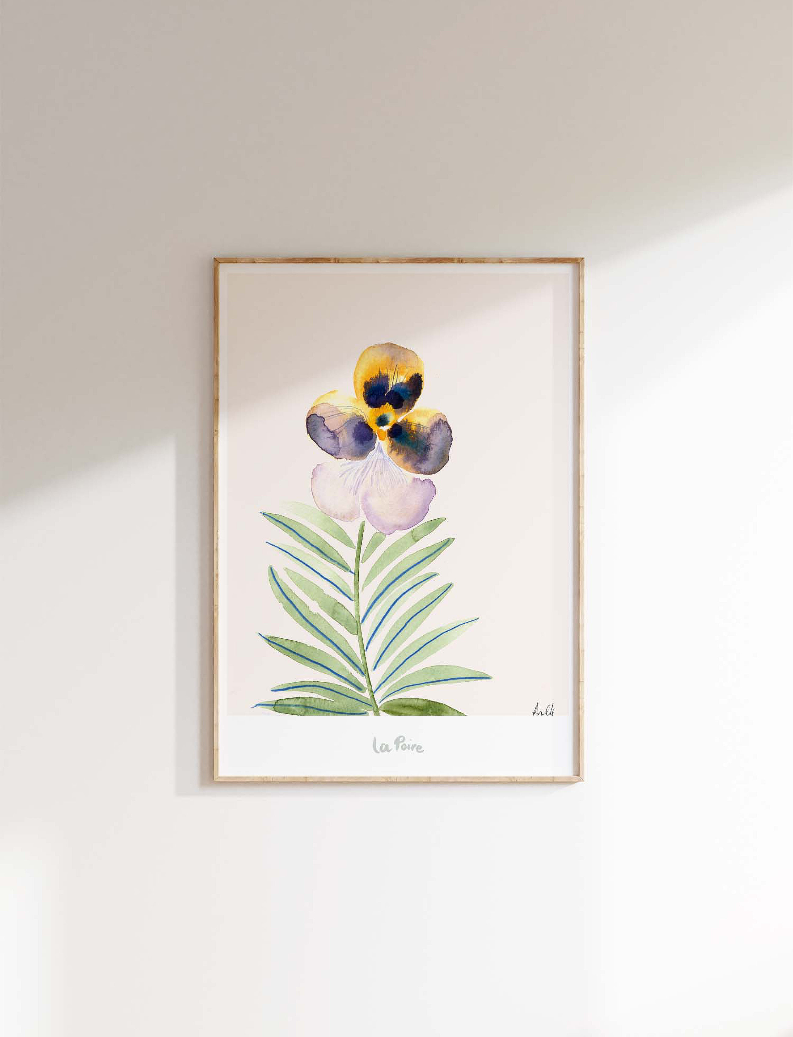 Poster & Frame - Pansy II - multi - 2