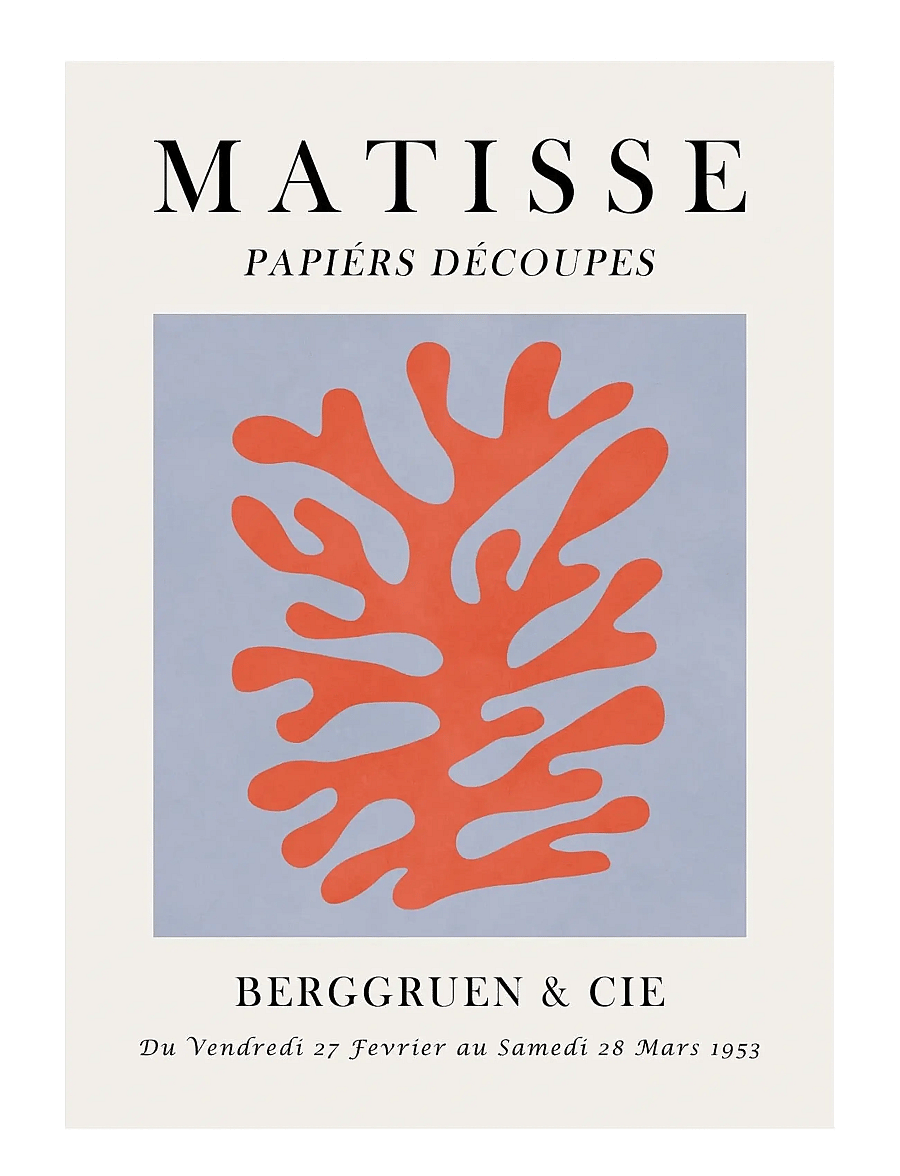 Poster & Frame - Vitor Costa - Matisse floral Poster 8 - illustrationen - multi - 1