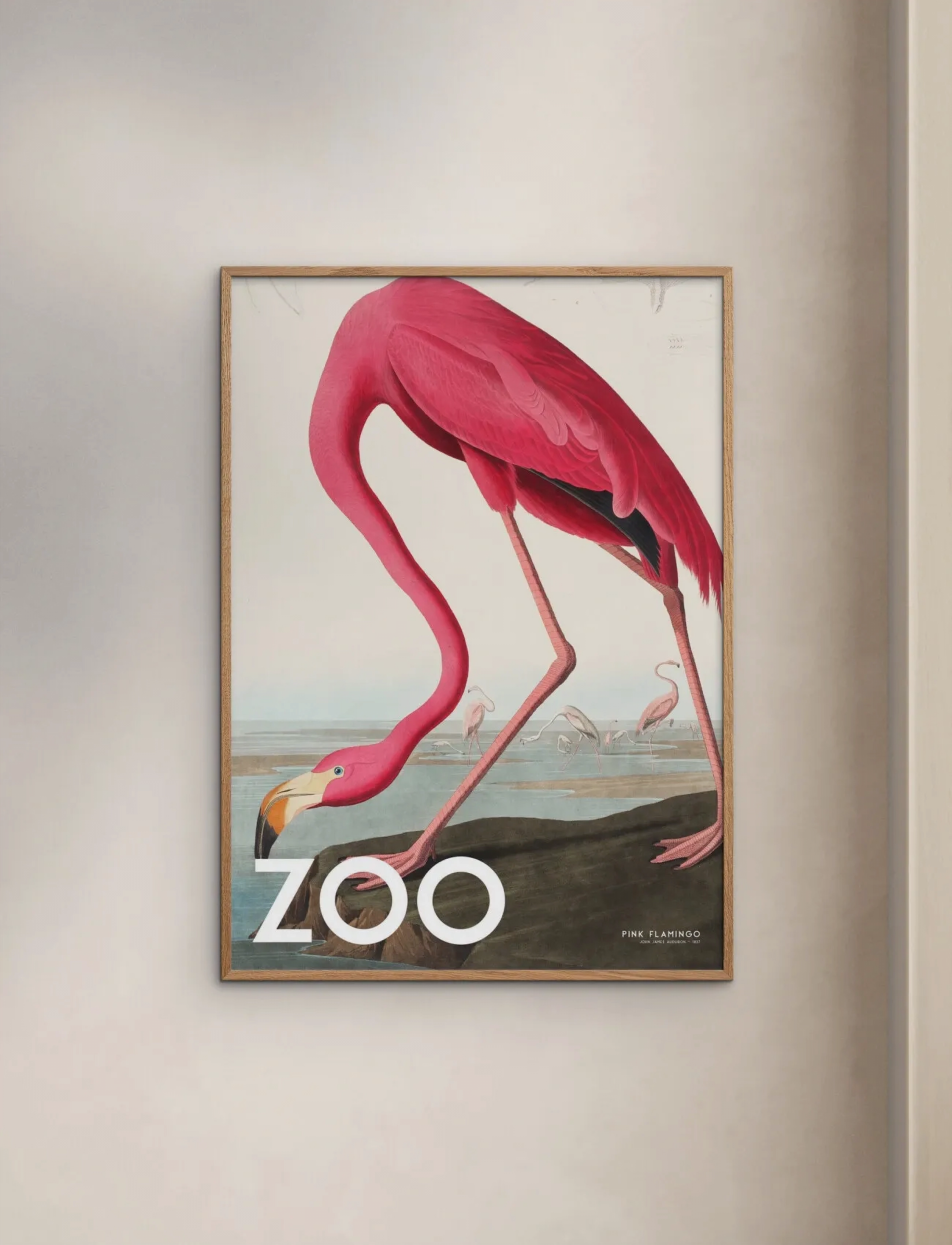 Poster & Frame A.p. Atelier The Zoo Collection — Pink Flamingo Edt. 002, 70X100 cm, Posters, Rosa - Animals, Homeware