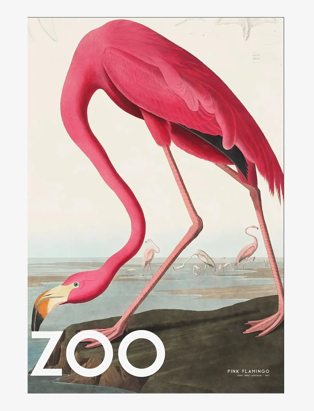 Poster & Frame - A.P. Atelier - The Zoo Collection — Pink Flamingo — Edt. 002 - dyr - multi - 0