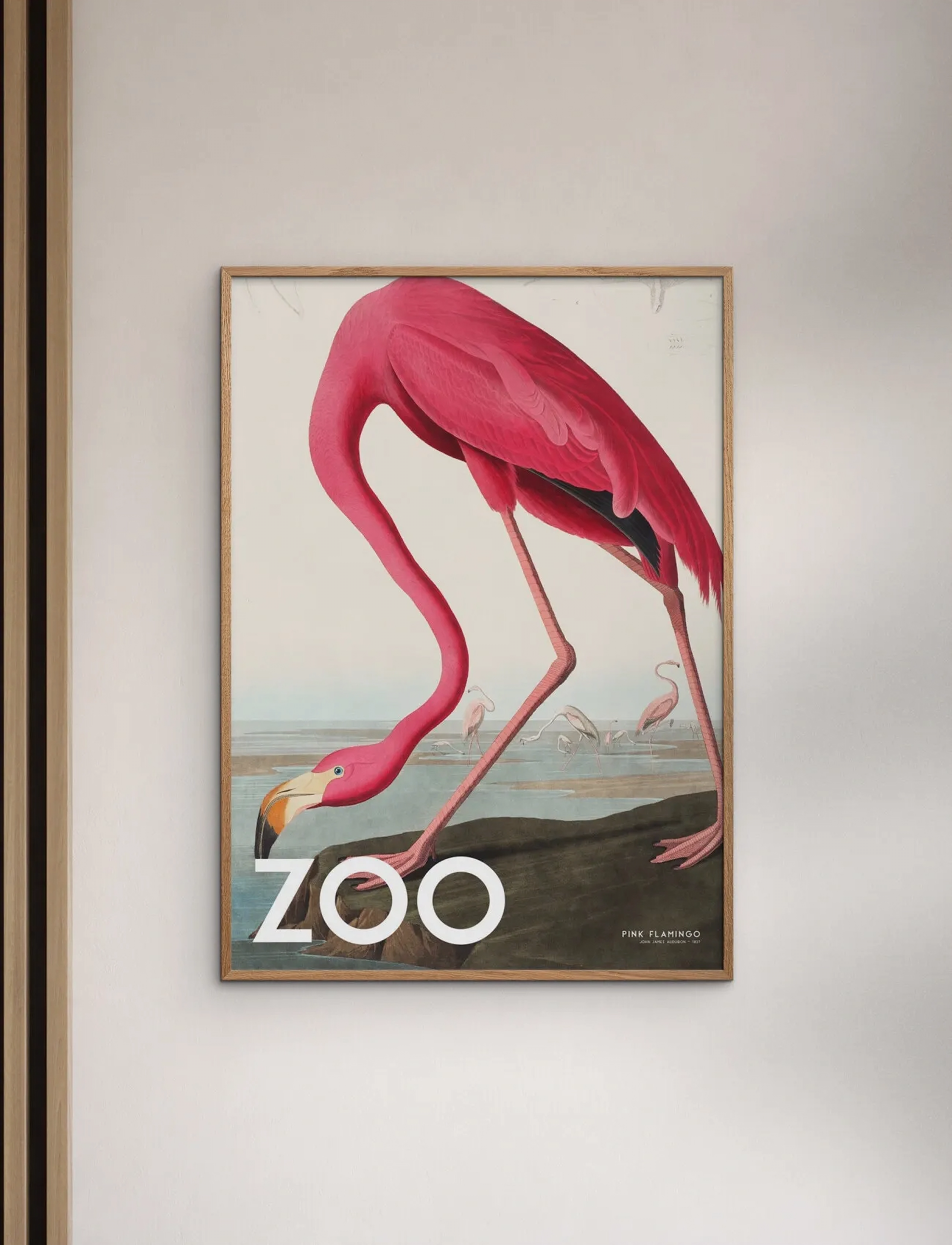 Poster & Frame A.p. Atelier The Zoo Collection — Pink Flamingo Edt. 002, 50X70 cm, Posters, Rosa - Animals, Homeware