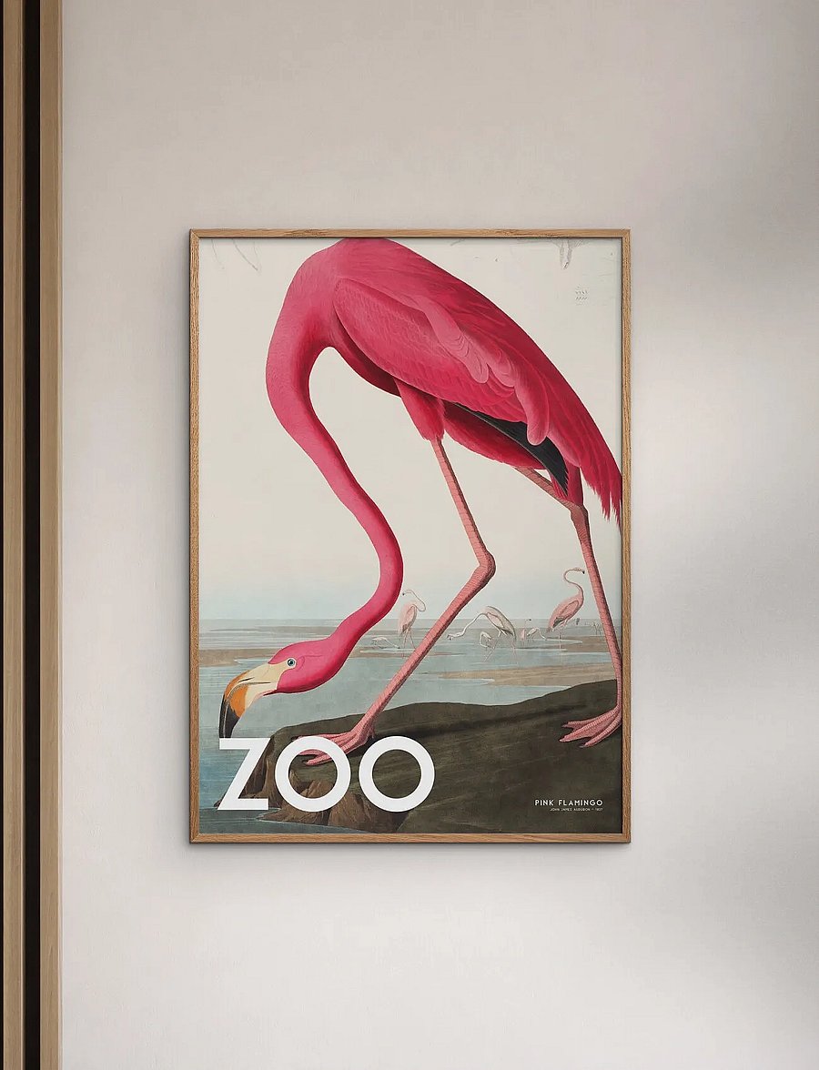 Poster & Frame - A.P. Atelier - The Zoo Collection — Pink Flamingo — Edt. 002 - tiere - multi - 0