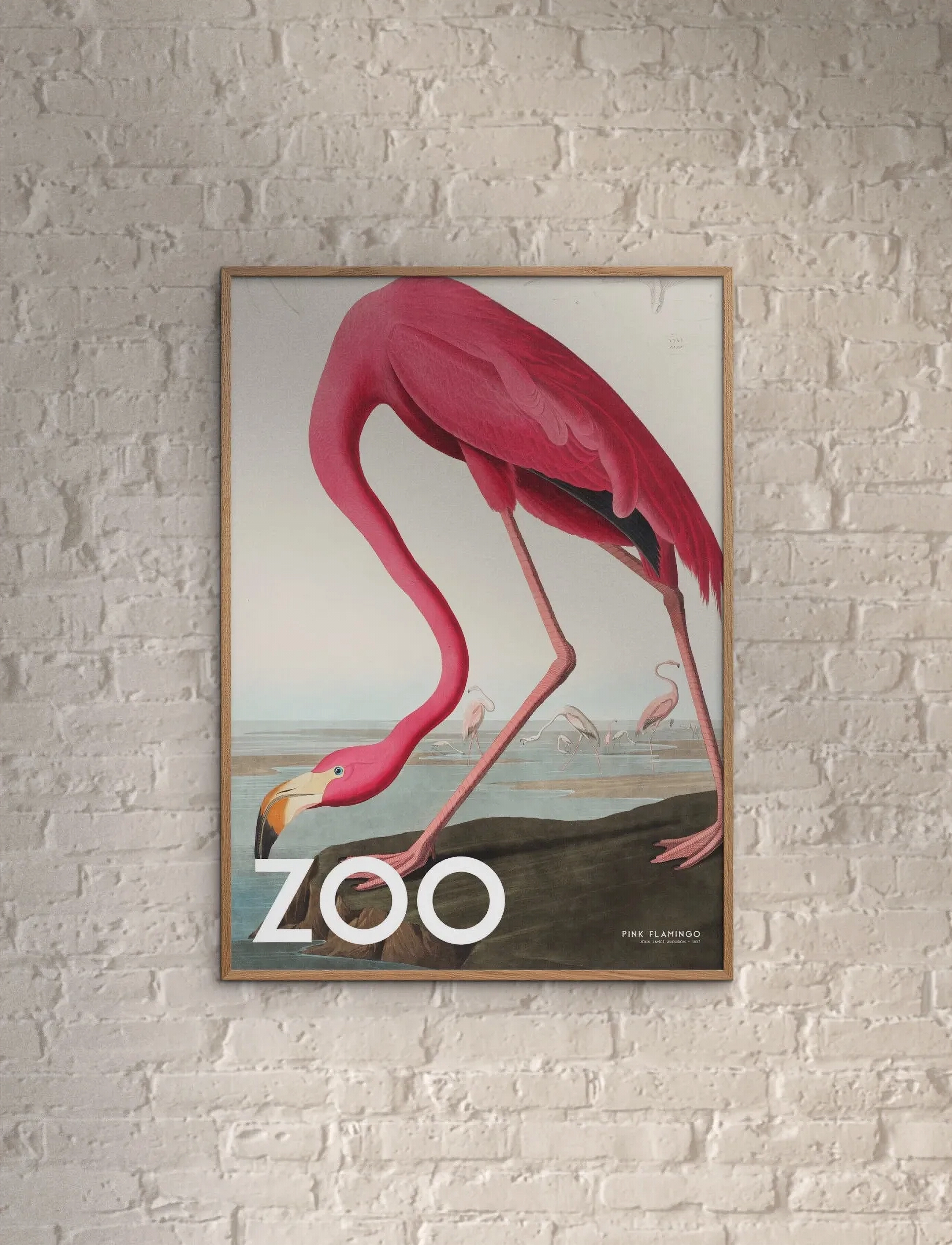 Poster & Frame A.p. Atelier The Zoo Collection — Pink Flamingo Edt. 002, 30X40 cm, Posters, Rosa - Animals, Homeware