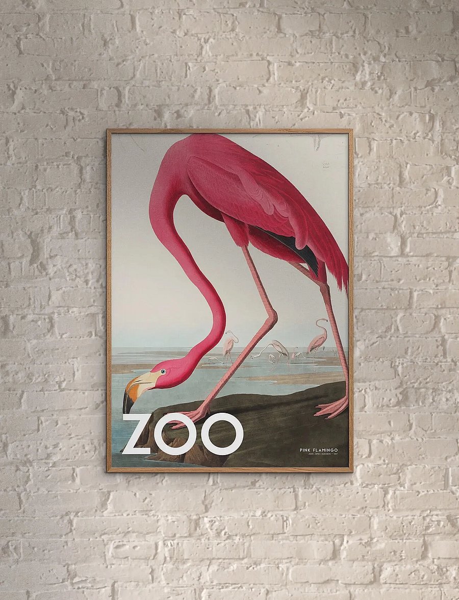 Poster & Frame - A.P. Atelier - The Zoo Collection — Pink Flamingo — Edt. 002 - tiere - multi - 0
