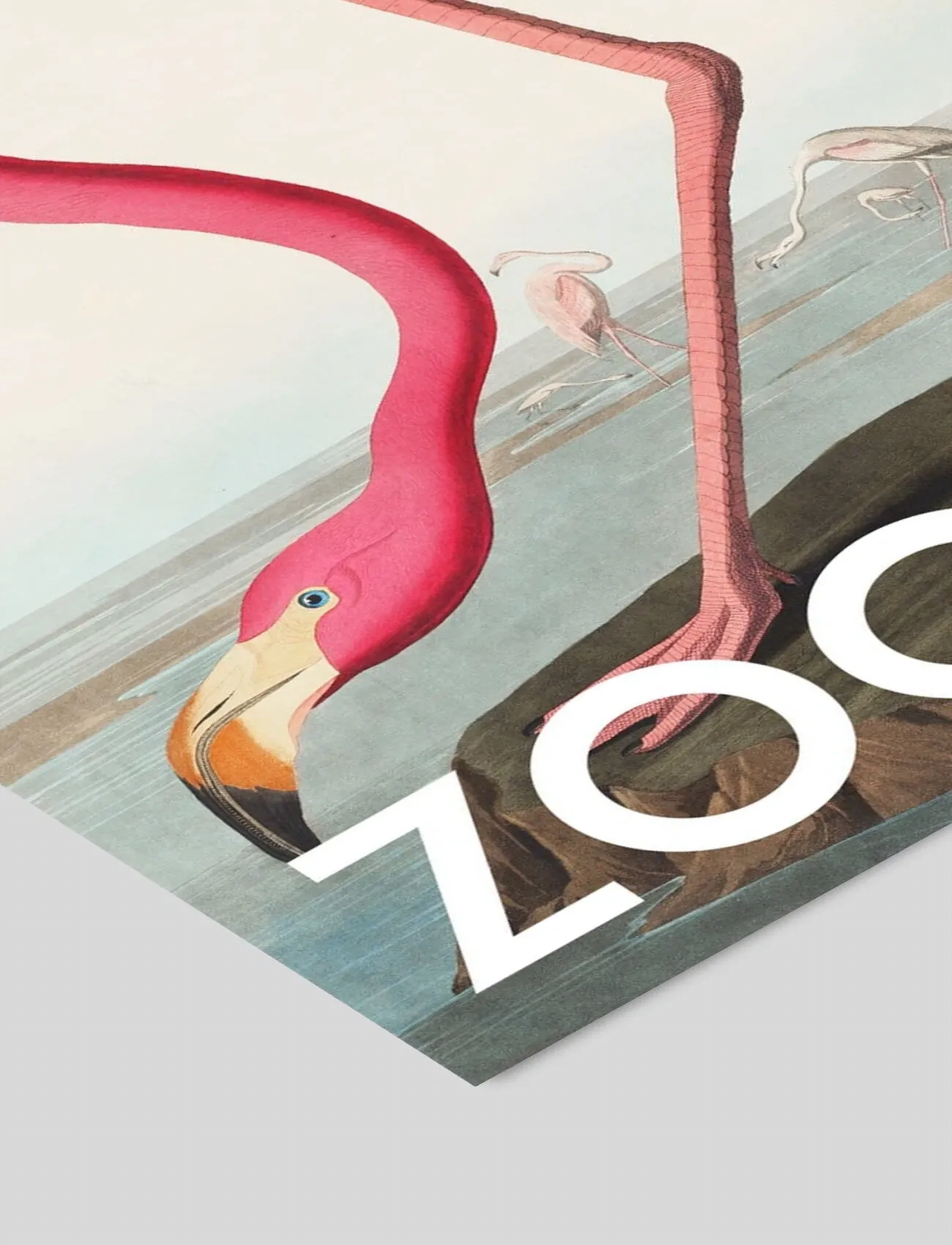 Poster & Frame - A.P. Atelier - The Zoo Collection — Pink Flamingo — Edt. 002 - tiere - multi - 2