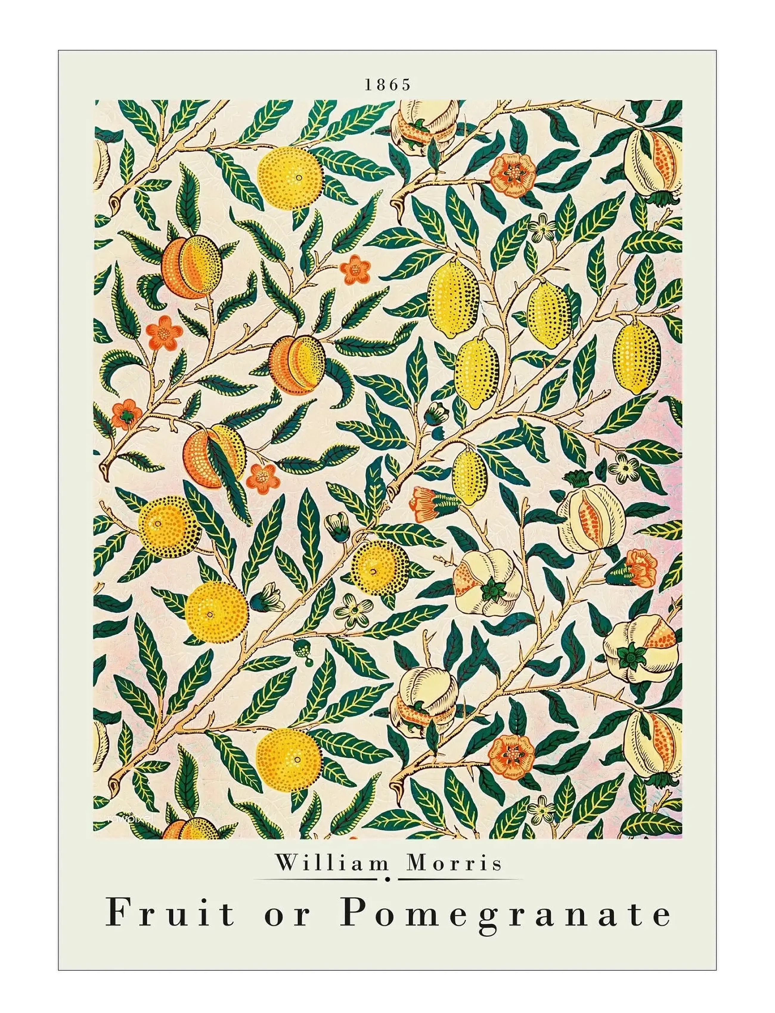 Poster & Frame William Morris Pomegranate, Botanical, Grøn, Str: 70X100CM