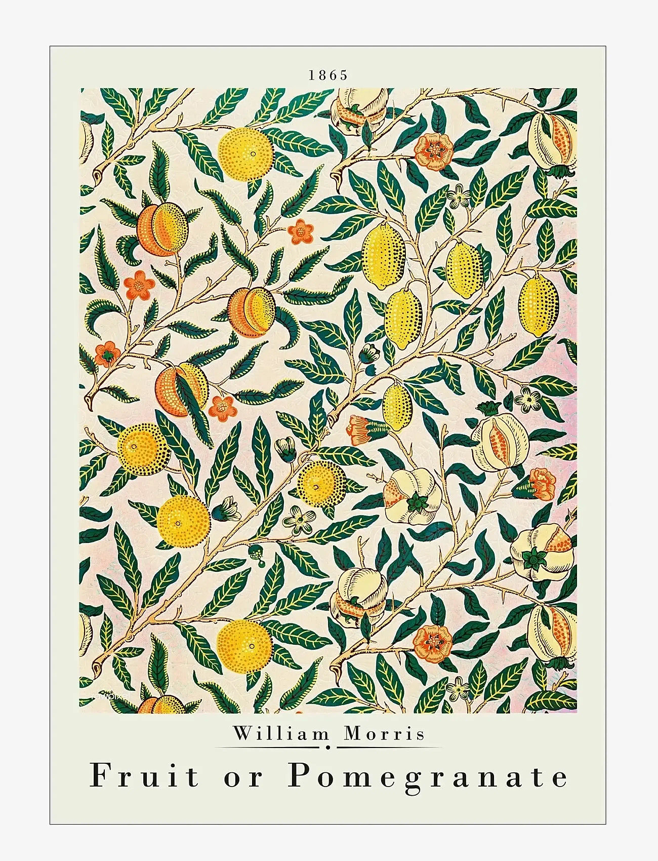 Poster & Frame - William Morris - Pomegranate - botanisk - multi - 0