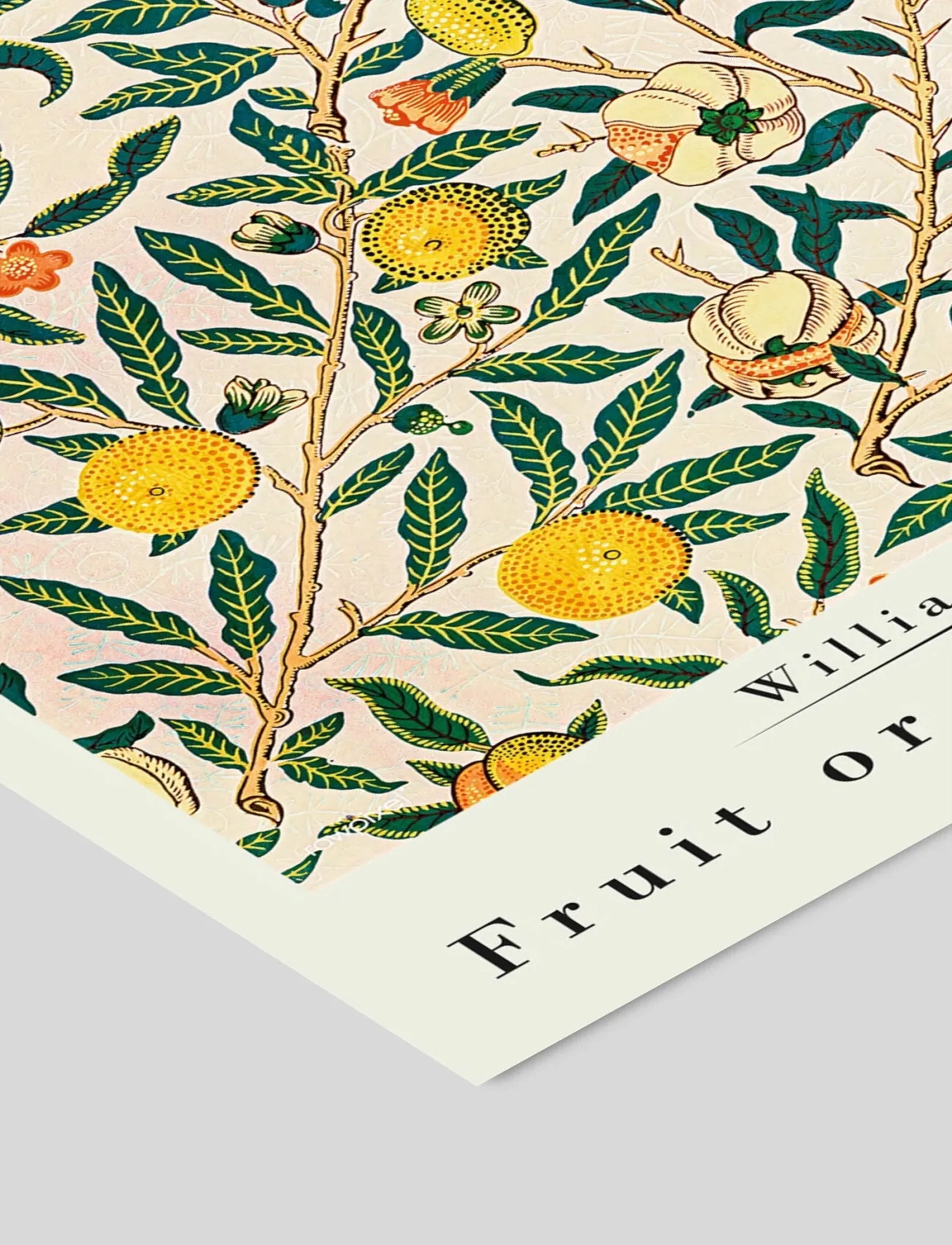 Poster & Frame - William Morris - Pomegranate - botaniska - multi - 3