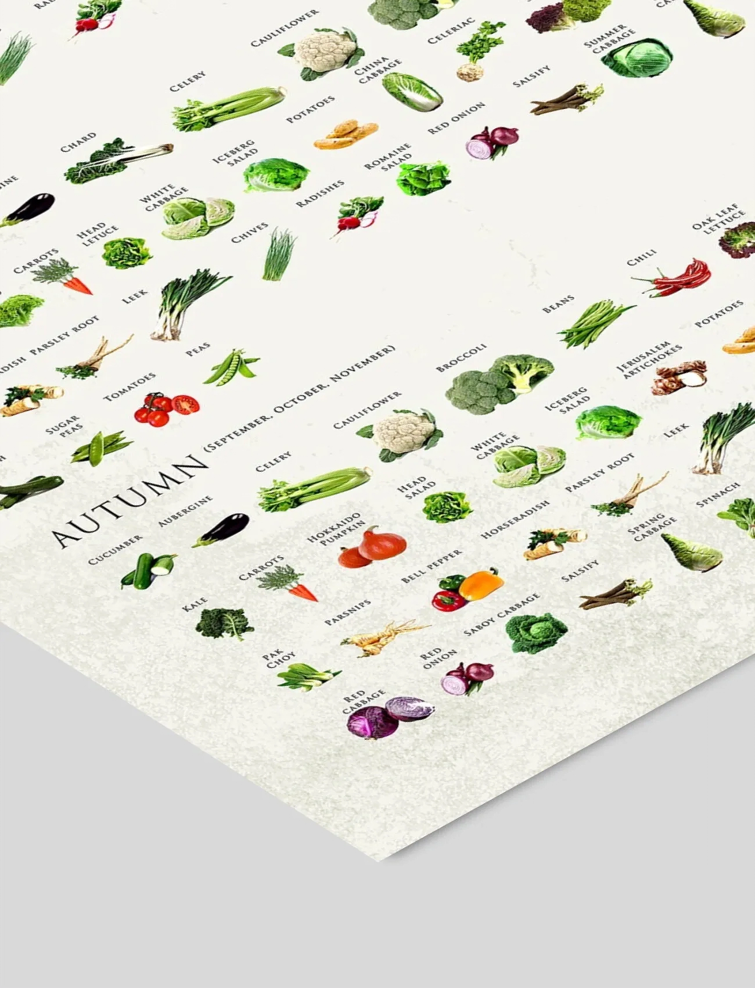 Poster & Frame - Simon Holst - Sæsonens vegetables - matur - multi - 2