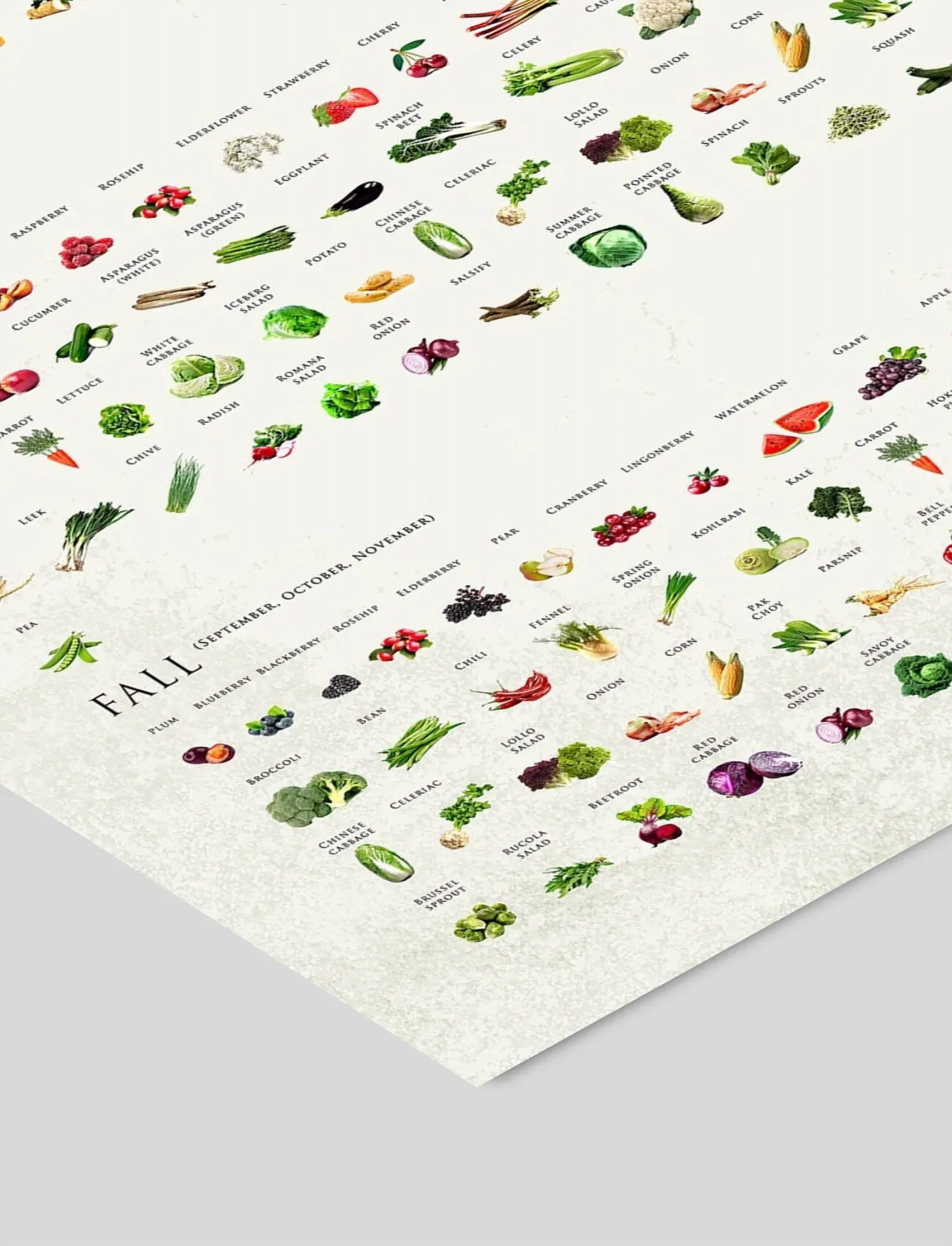 Poster & Frame - Simon Holst - Seasonal fruits and vegetables - essen - multi - 2