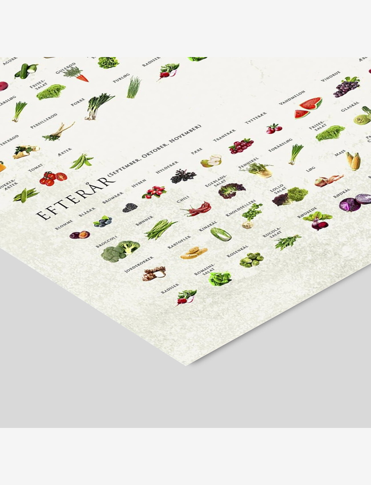 Poster & Frame - Årstidernes frugt og grønt - mad - multi-colored - 1