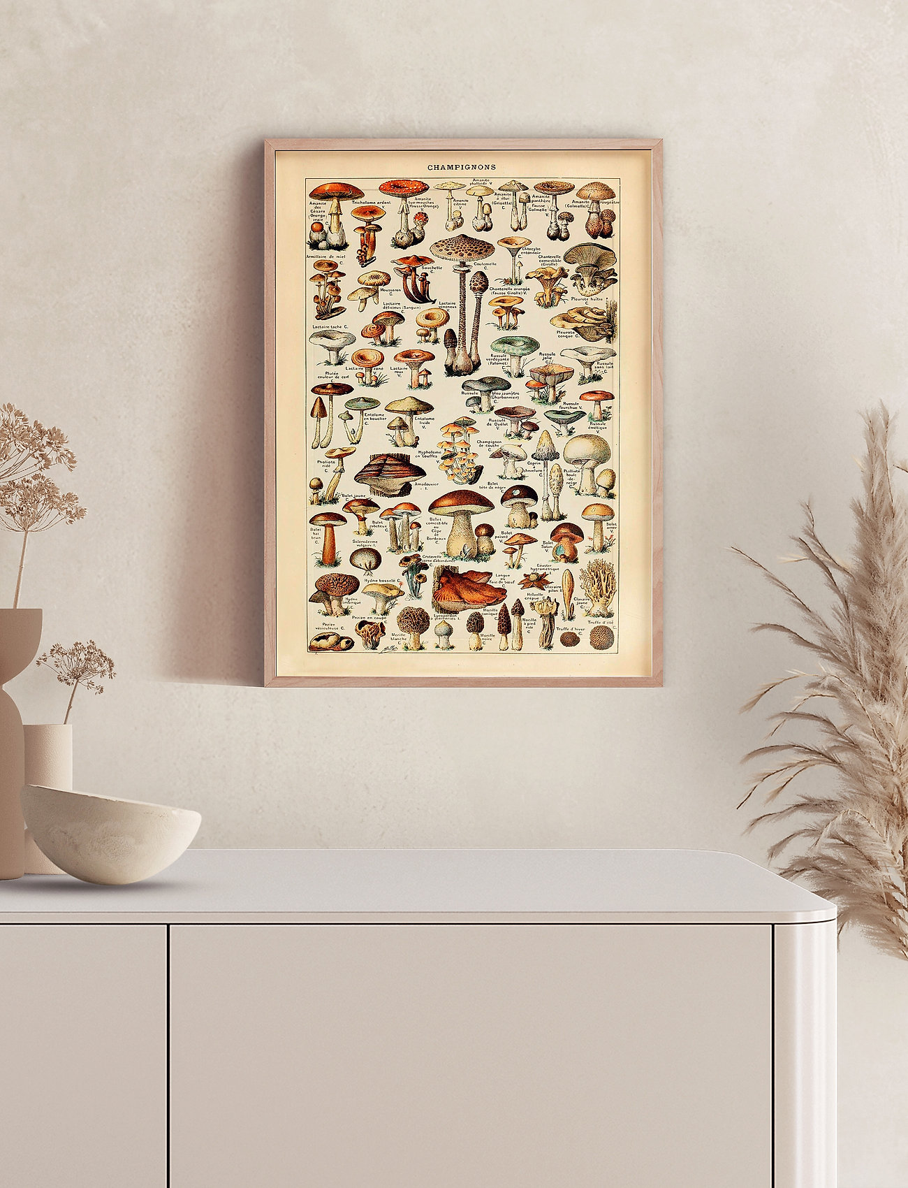 Poster & Frame Champignons, 30X40 cm, Posters, Mehrfarbig/gemustert - Botanical, Homeware