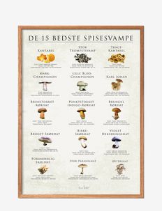 Top 15 edible mushrooms, Poster & Frame