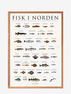 Scandinavien fish, stone, Poster & Frame