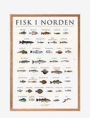 Scandinavien fish, stone - MULTI-COLORED