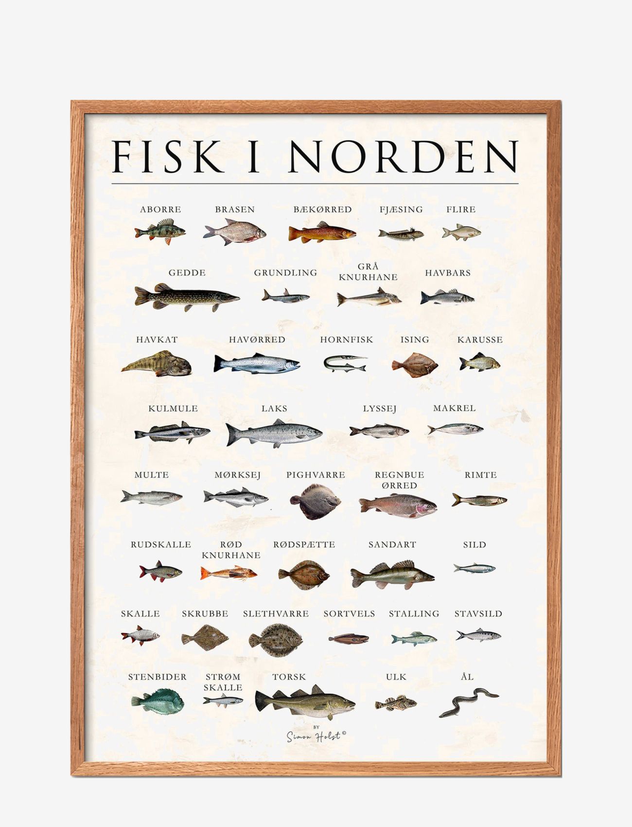 Poster & Frame Fisk I Norden, Sten, Food, Multi/mønstret, Str: 30X40CM