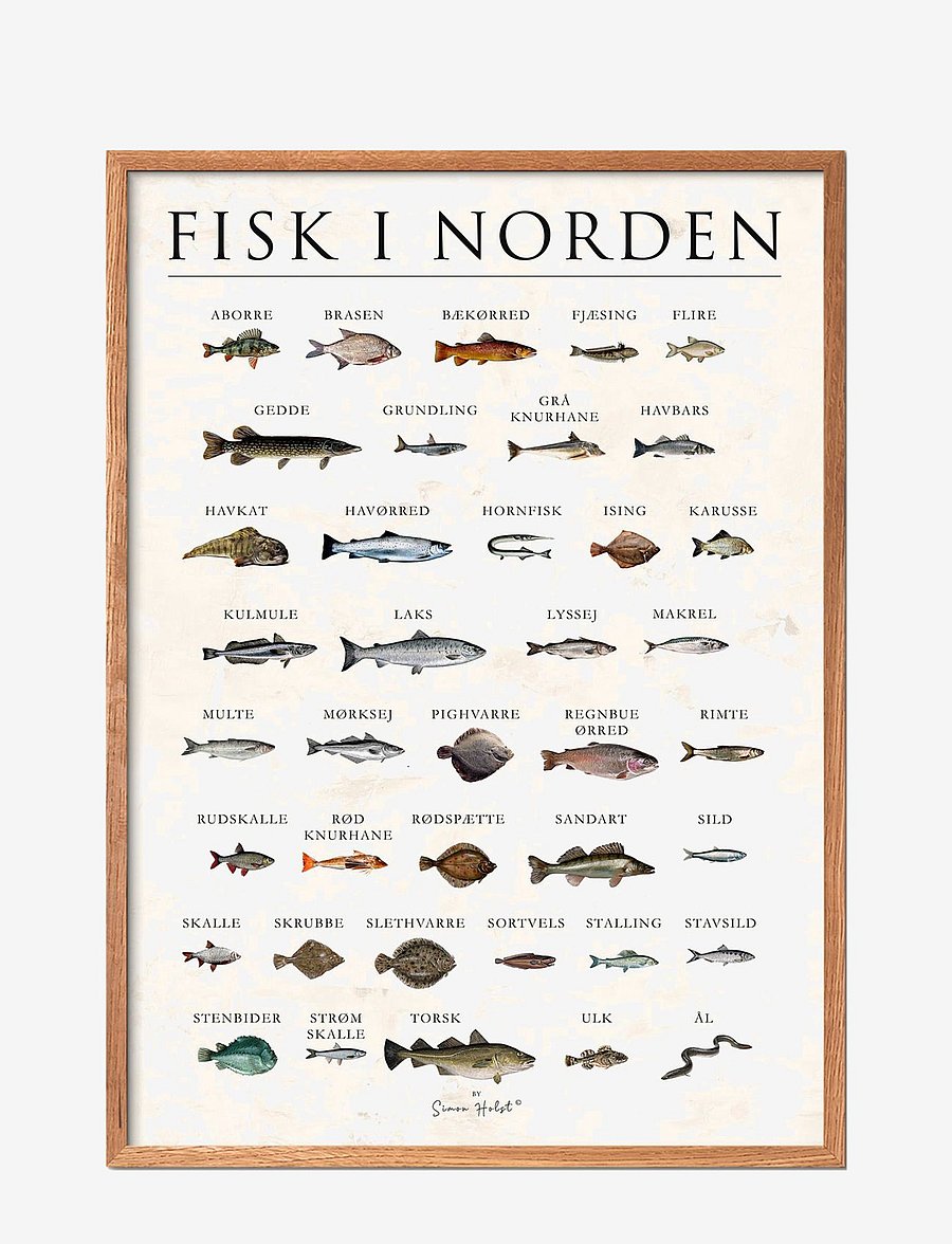 Poster & Frame - Scandinavien fish, stone - essen - multi-colored - 1