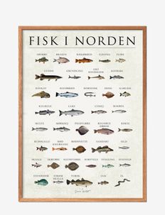 Fish from Scandinavien, Poster & Frame