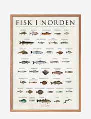 Poster & Frame - Fish from Scandinavien - de laveste prisene - multi-colored - 0