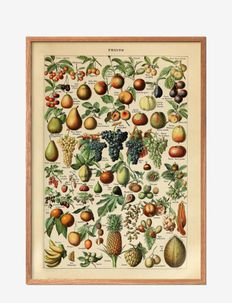 Fruits, Poster & Frame