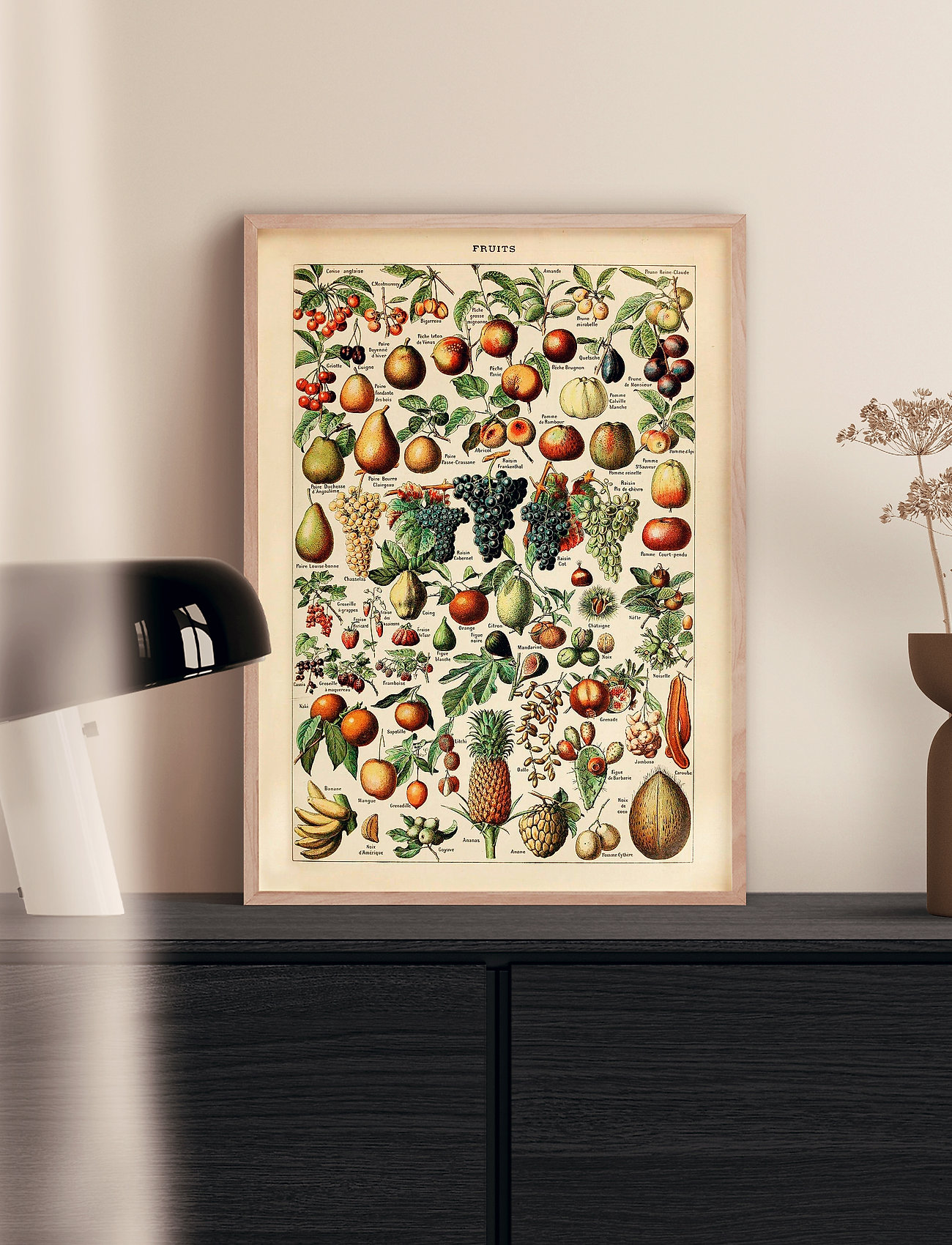 Poster & Frame - Fruits - madalaimad hinnad - multi-colored - 1