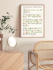 Poster & Frame - Herbs - lowest prices - multi-colored - 1