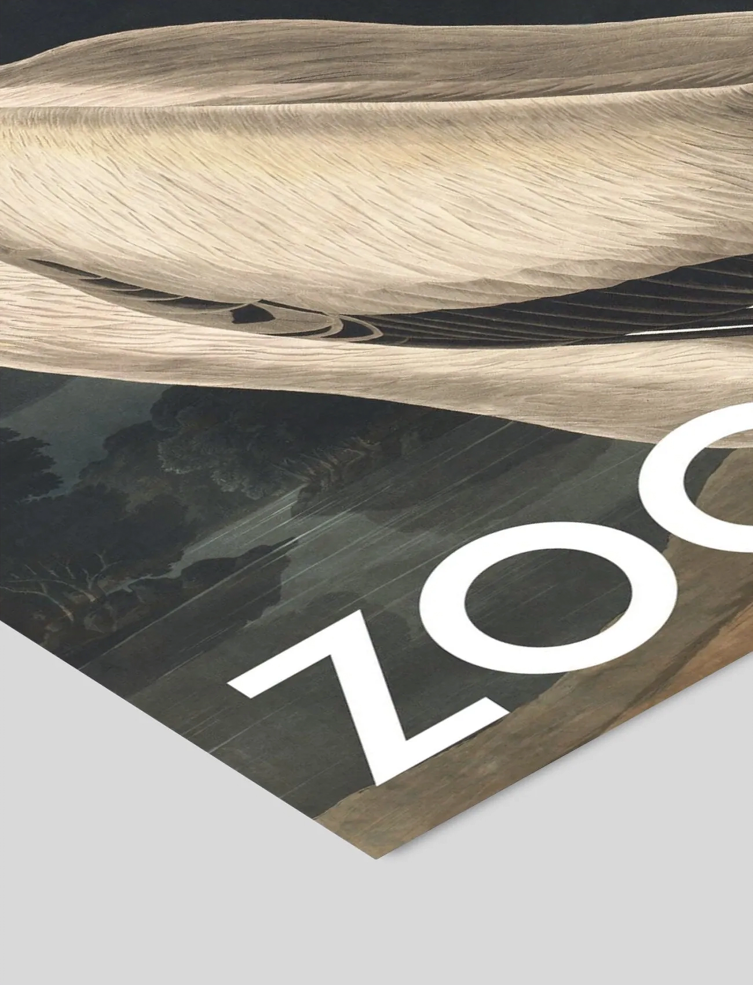 Poster & Frame - A.P. Atelier - The Zoo Collection — White Pelican — Edt. 002 - dyr - multi - 3