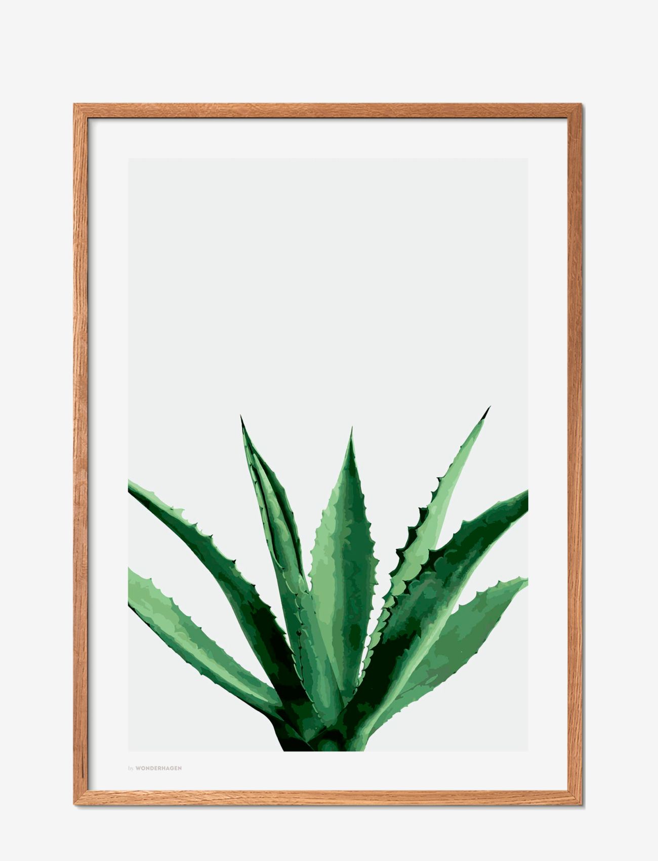 Poster & Frame Agave, Botanical, Multi/mønstret, Str: 70X100CM
