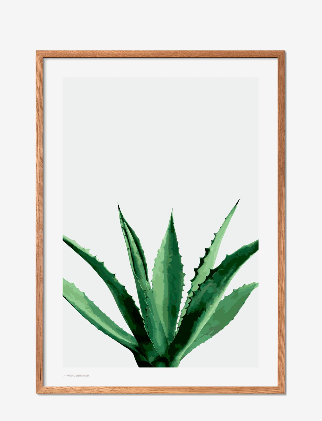 Poster & Frame - Agave - lowest prices - multi-colored - 0