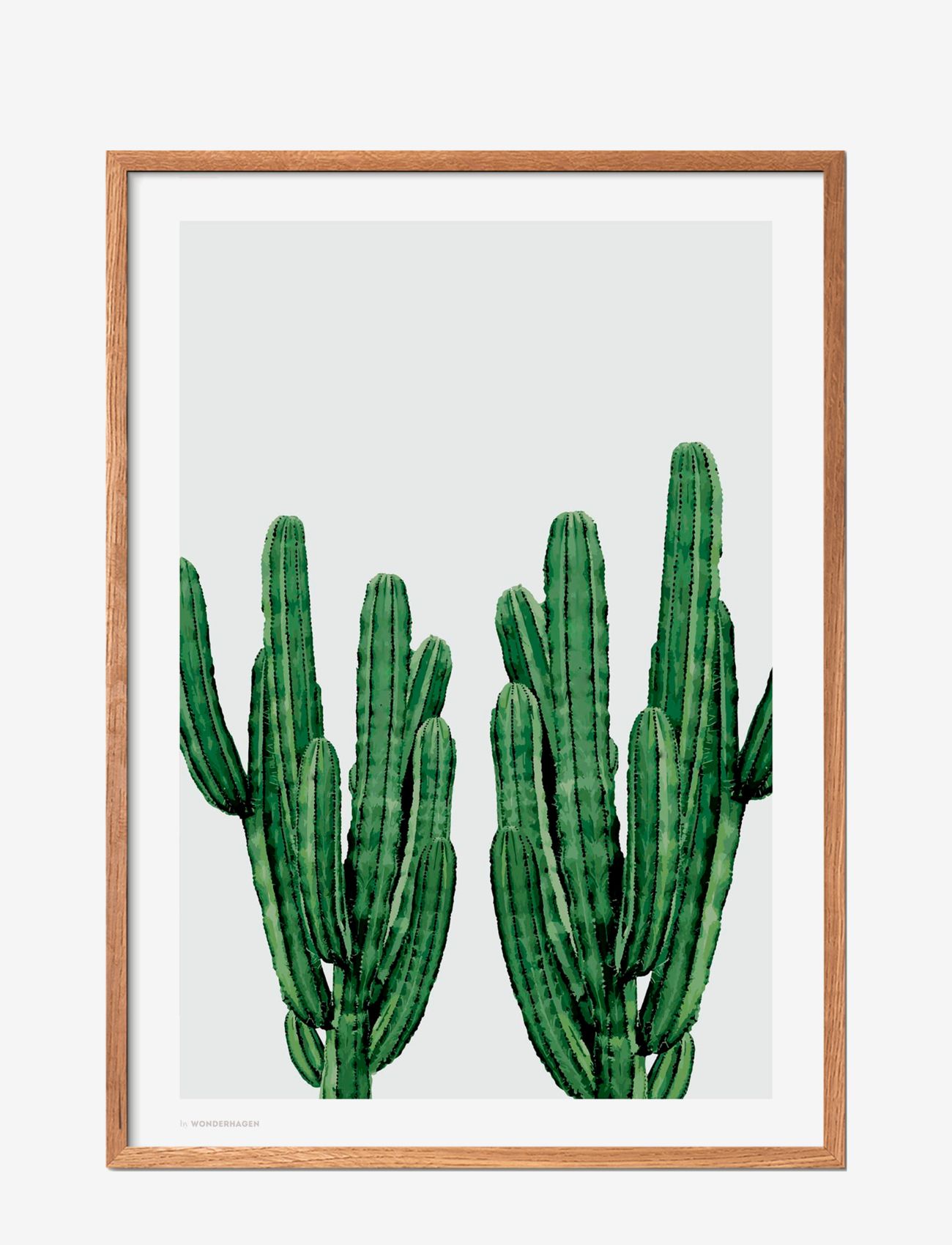 Poster & Frame - Cactus - botaninis - multi-colored - 0
