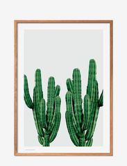 Cactus - MULTI-COLORED