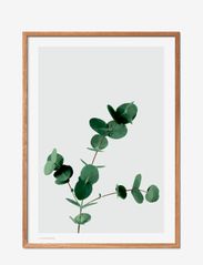 Poster & Frame - Eucalyptus - alhaisimmat hinnat - multi-colored - 0
