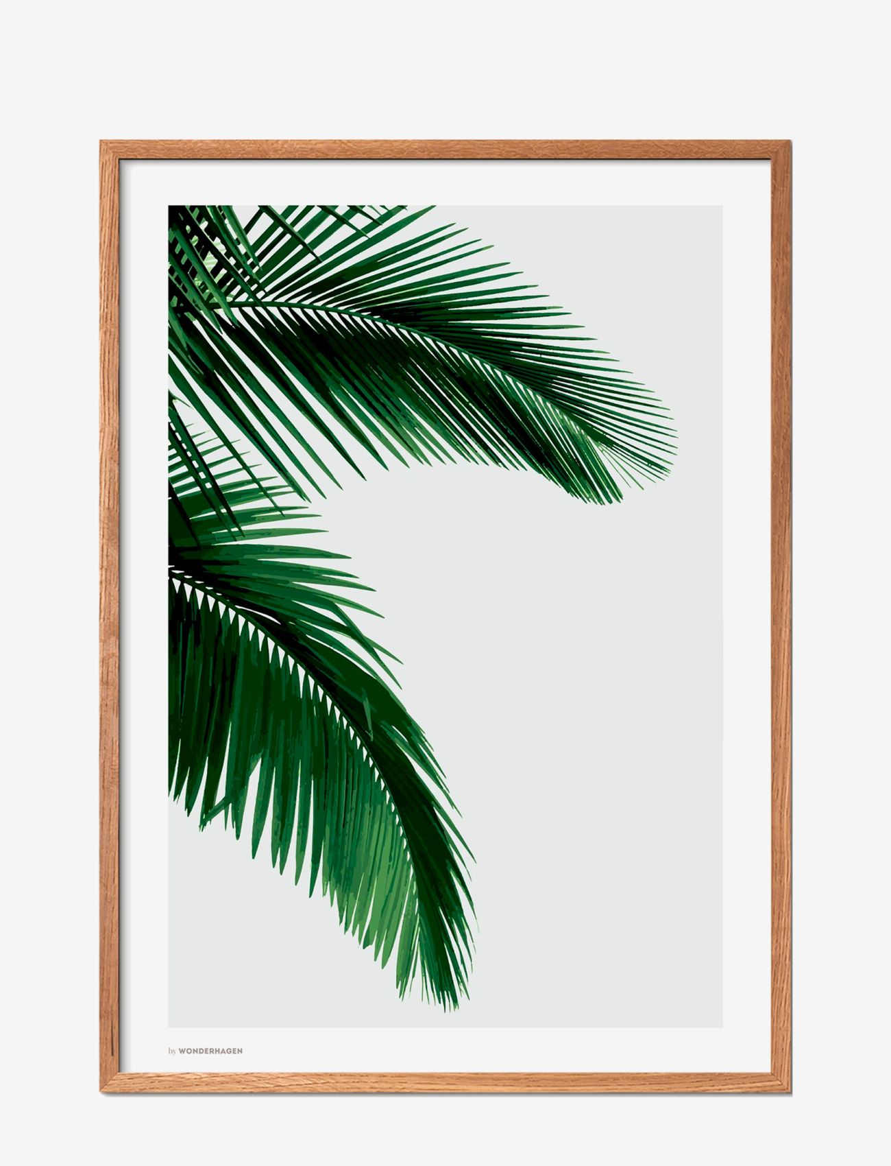 Poster & Frame - Palm - botanique - multi-colored - 0