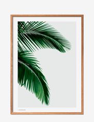 Palm - MULTI-COLORED