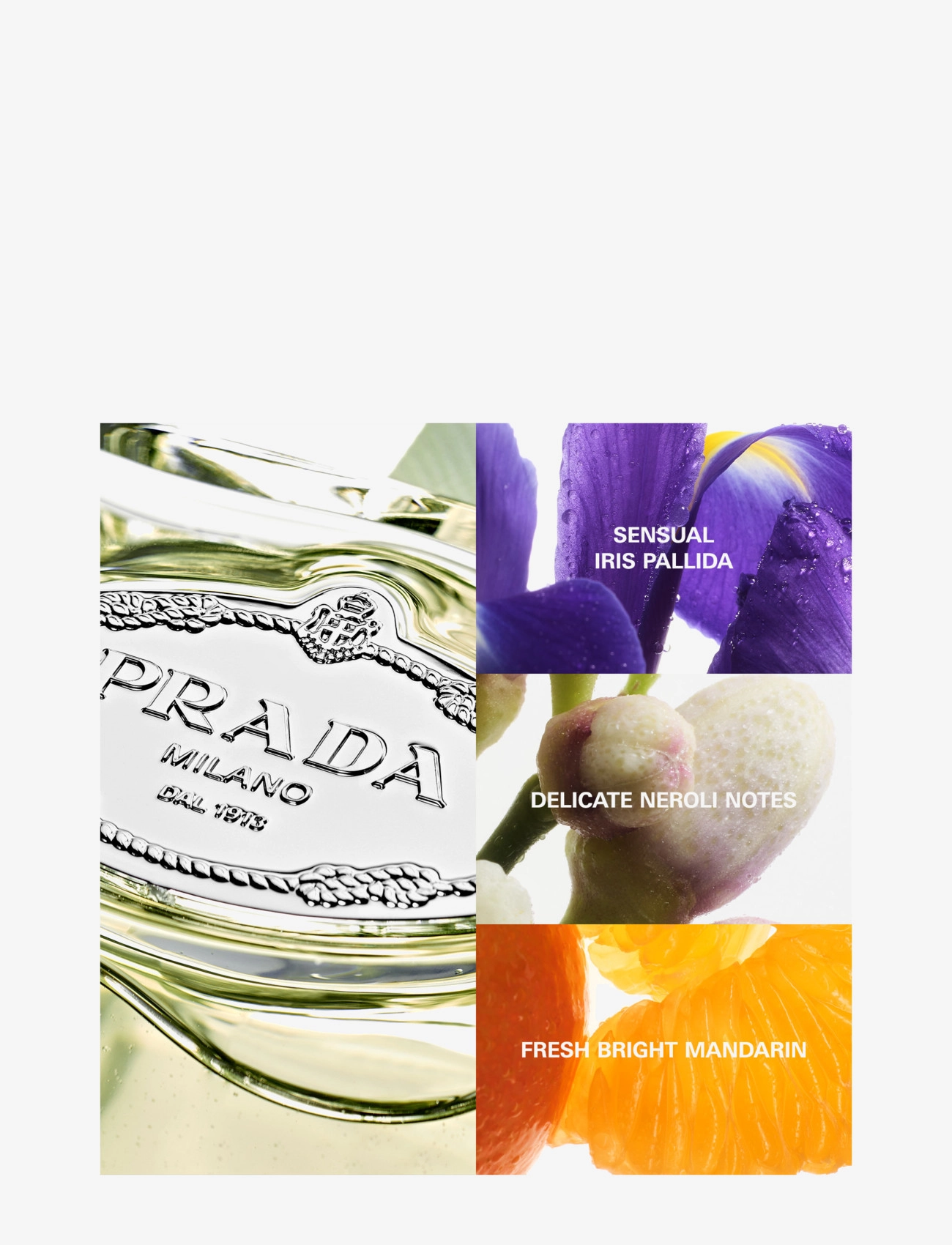 Infusion d'Iris Eau de Parfum 6