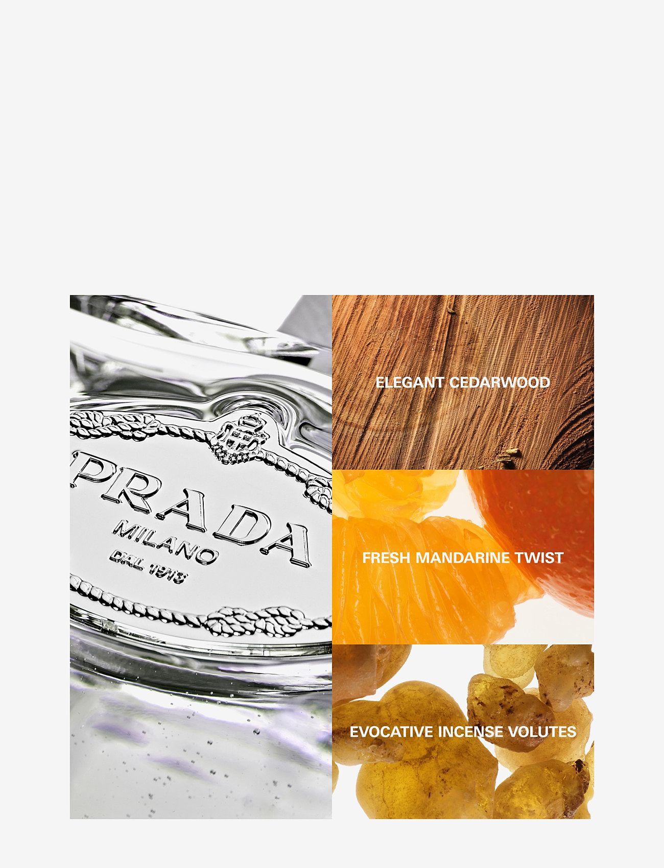 Prada - Prada Infusion d'Iris Cedre Eau de Parfum 100ml - til ham  - clear - 4