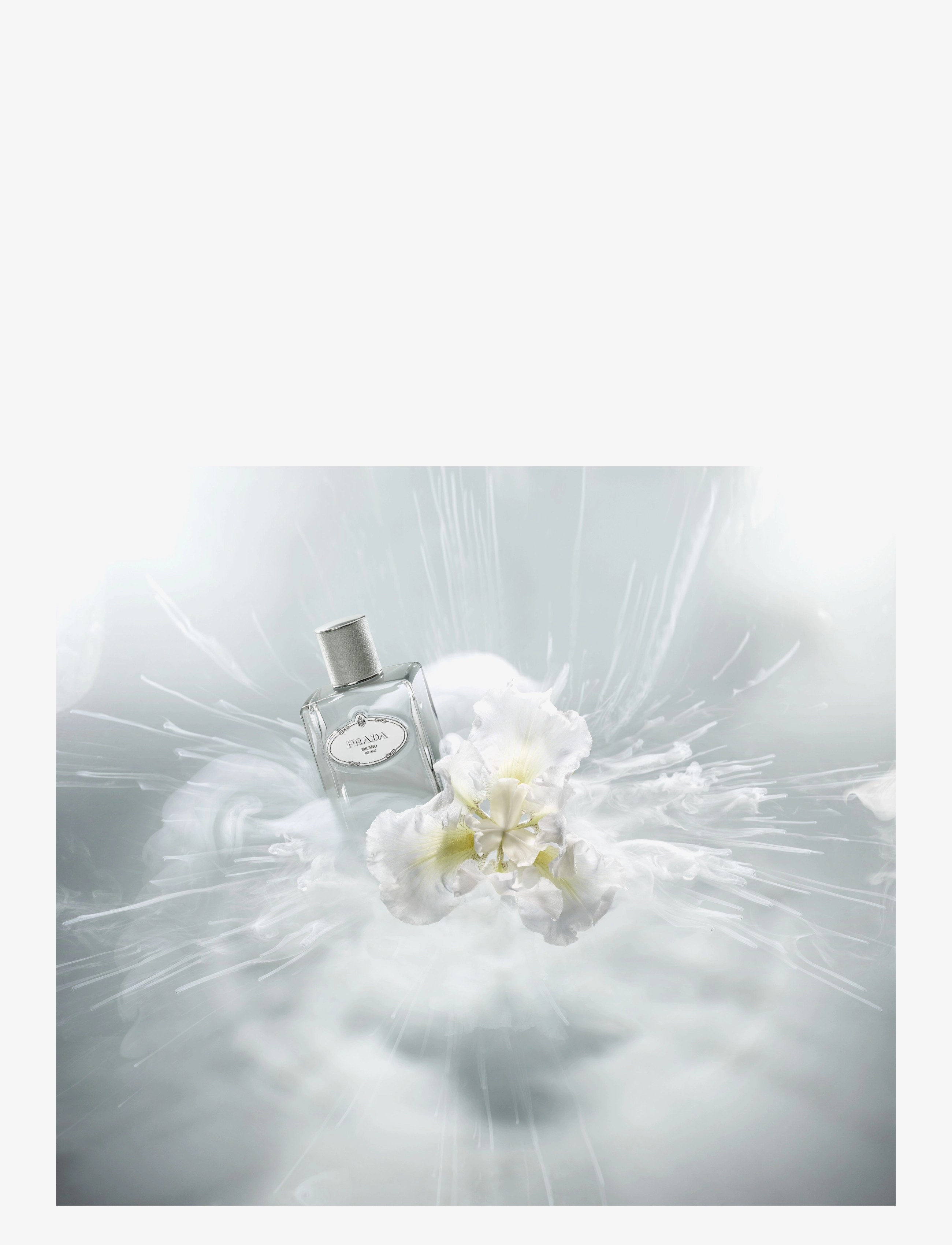 Infusion de Cèdre Eau de Parfum 7