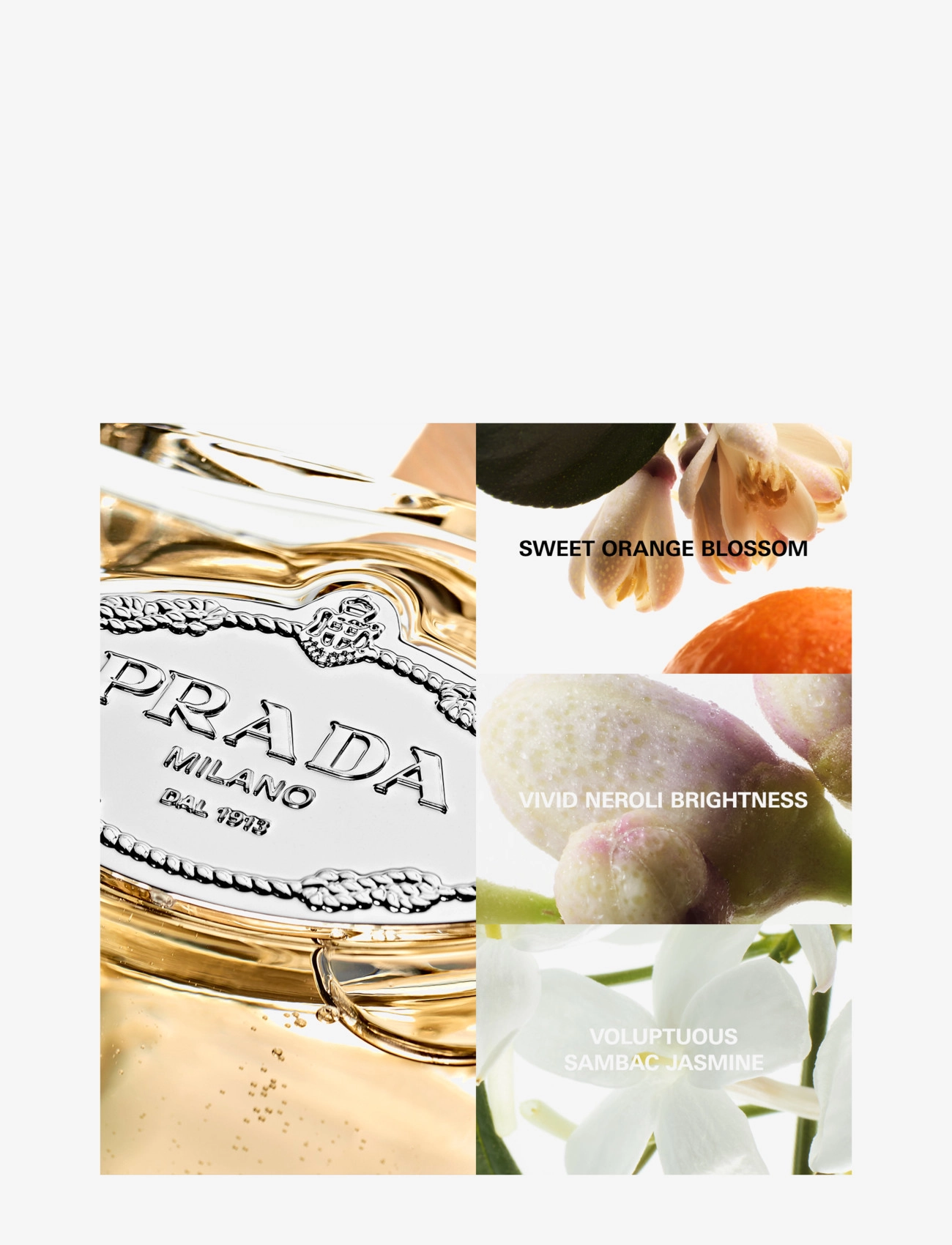 Infusion de Fleur d'Oranger Eau de Parfum 5