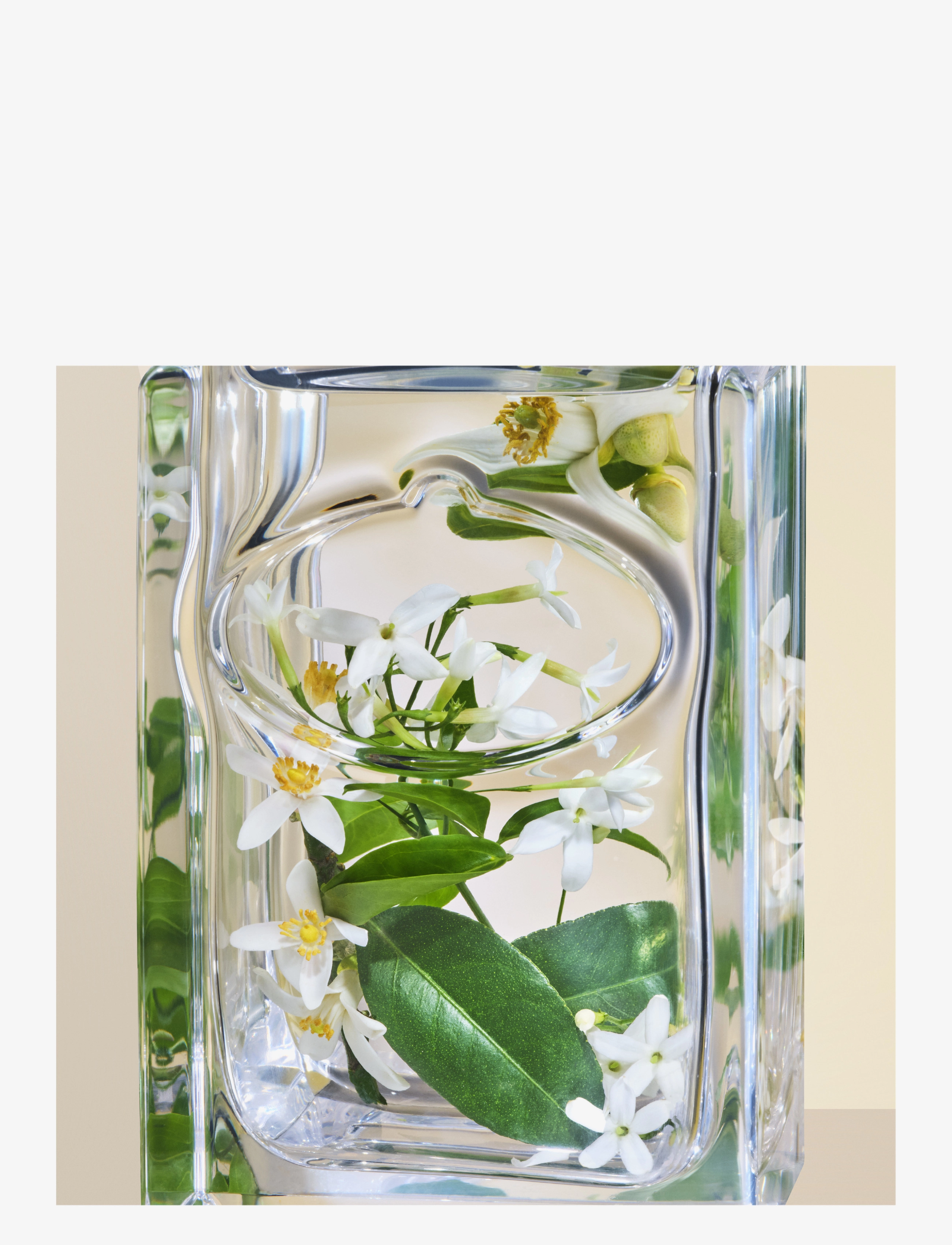 Infusion de Fleur d'Oranger Eau de Parfum 6