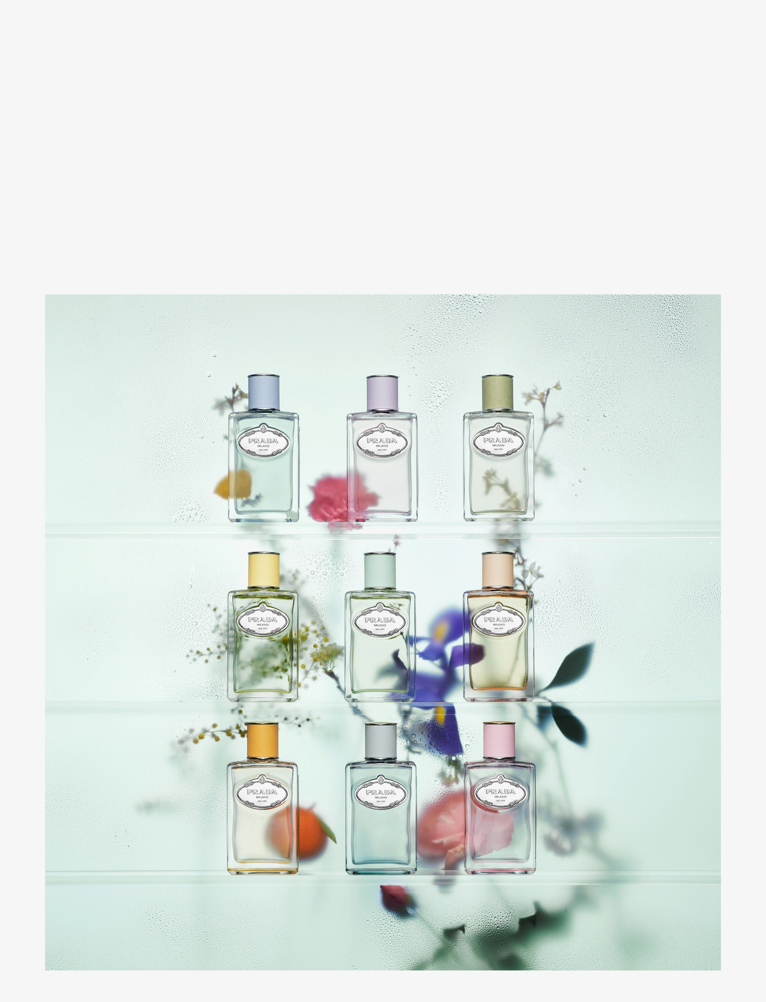 Infusion de Fleur d'Oranger Eau de Parfum 7