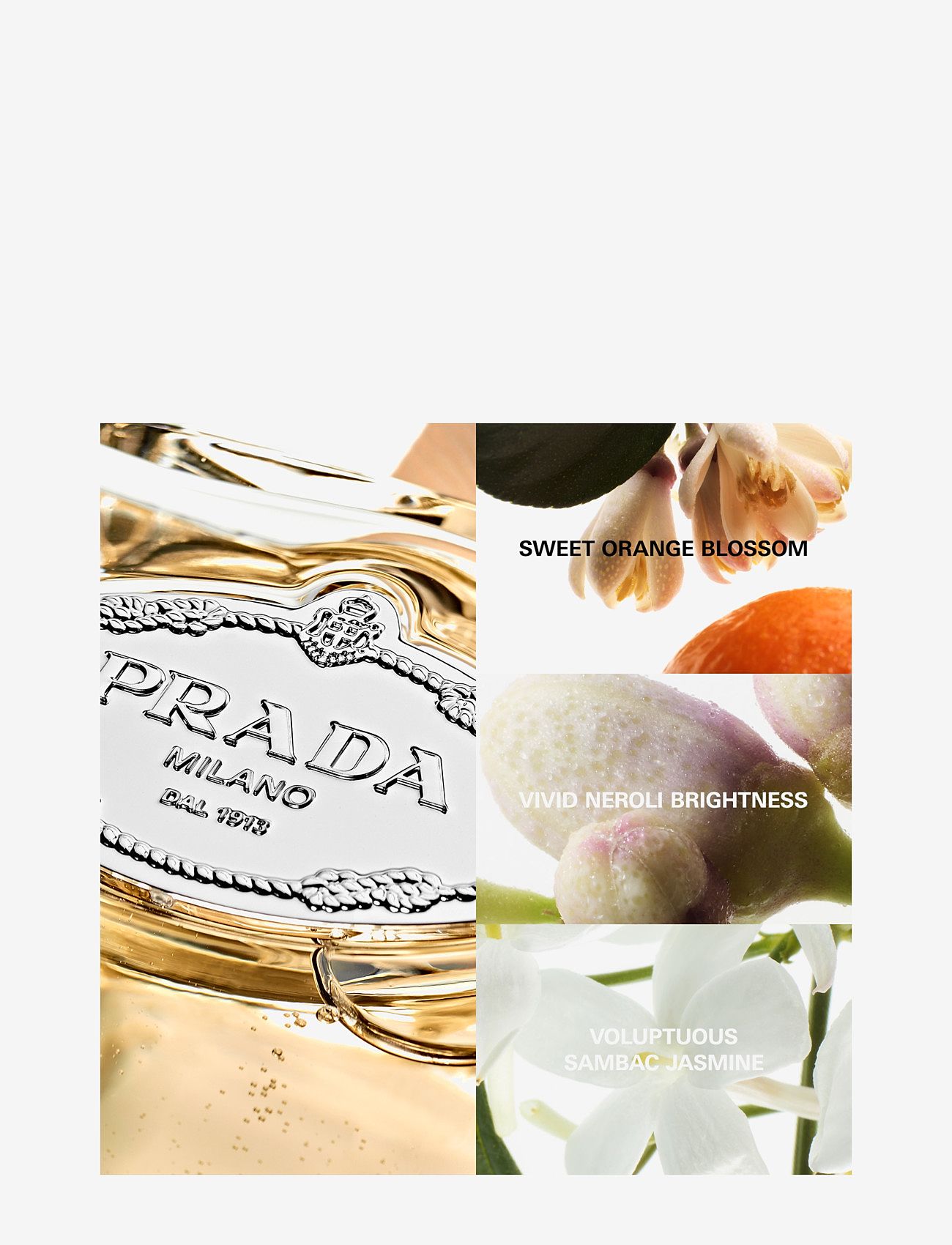 Prada - LES INFUSIONS DE PRADA FLEURD'ORANGER EAU DE PARFUM - fragrance - clear - 4