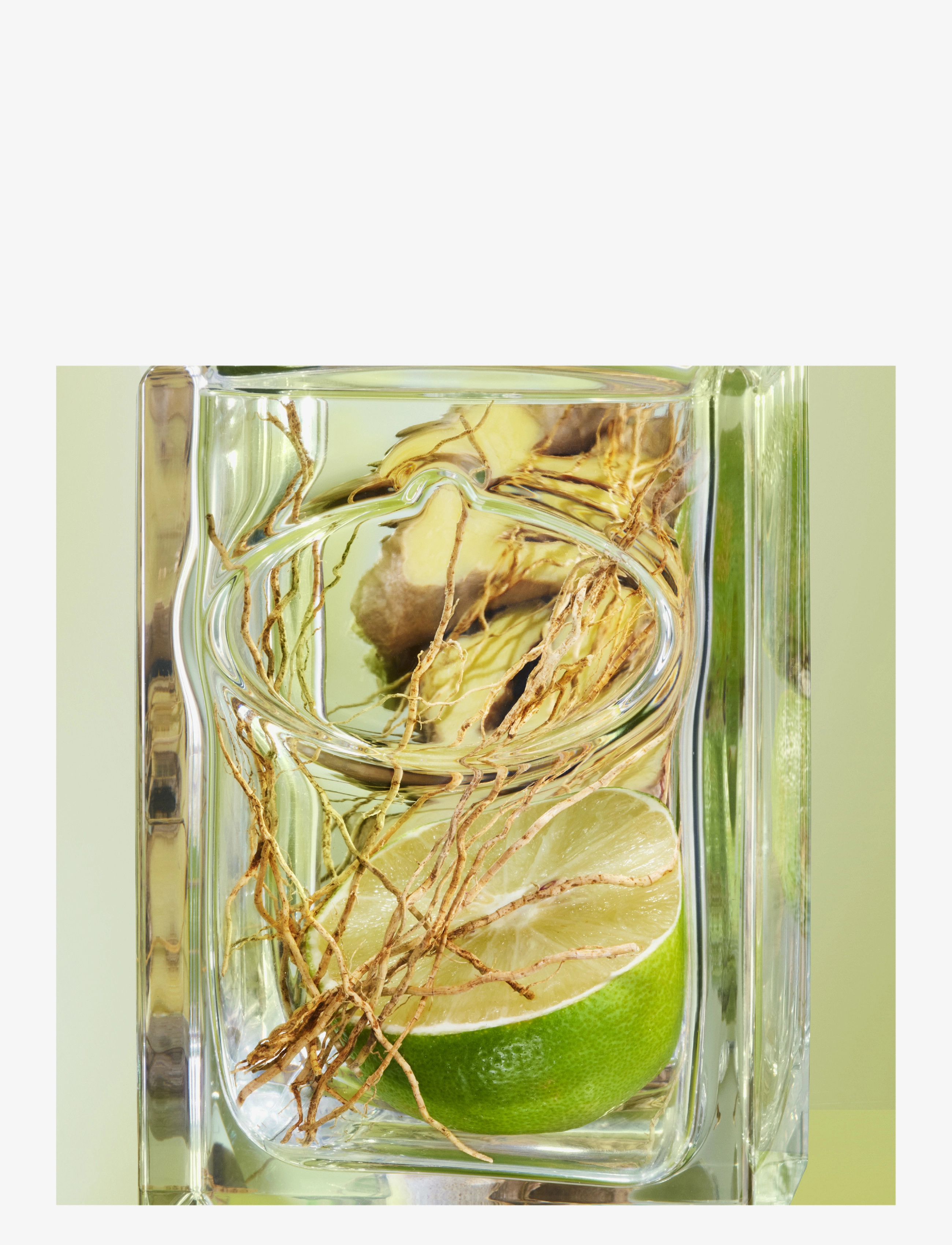 Prada - Prada Infusion de Vetiver Eau de Parfum 100ml - clear - 4